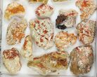 Lot: - Bladed Barite With Vanadinite - Pieces #138191-1